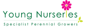 young nurseries logo